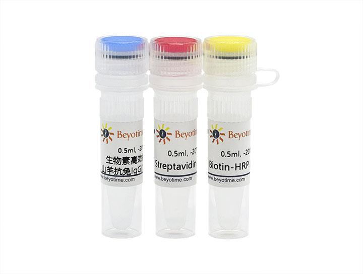 SABC-HRP Kit with Anti-Rabbit IgG (IHC&ICC)